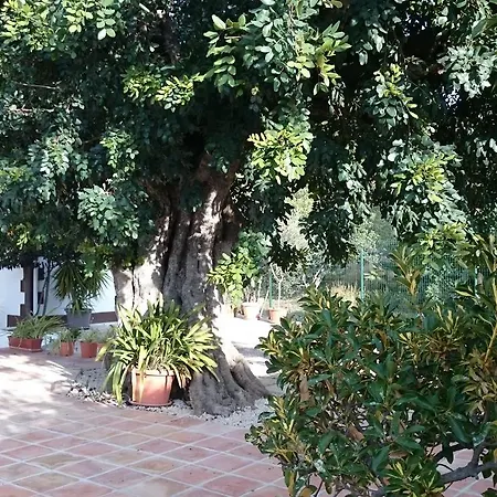 Chabola Hébergement de vacances *