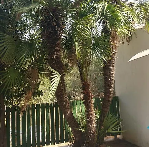 Chabola Hébergement de vacances Dénia