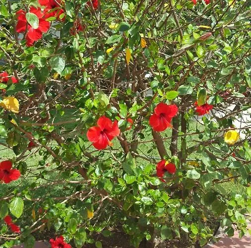 Chabola Hébergement de vacances *