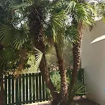 Chabola Nyaraló Denia