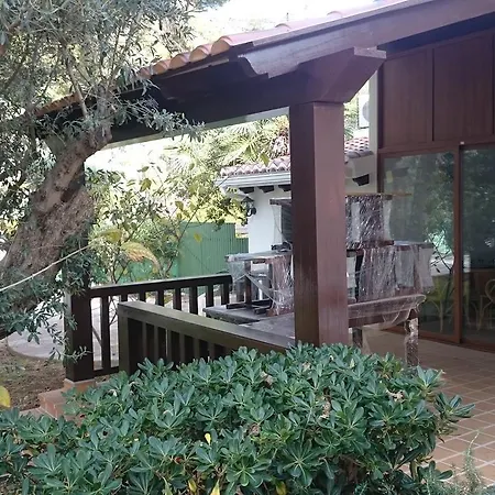 Chabola Dénia