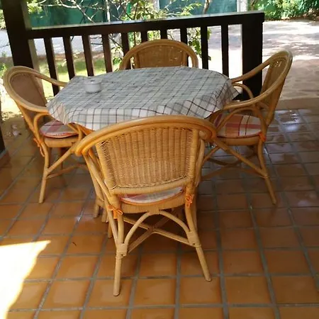 Chabola Dénia